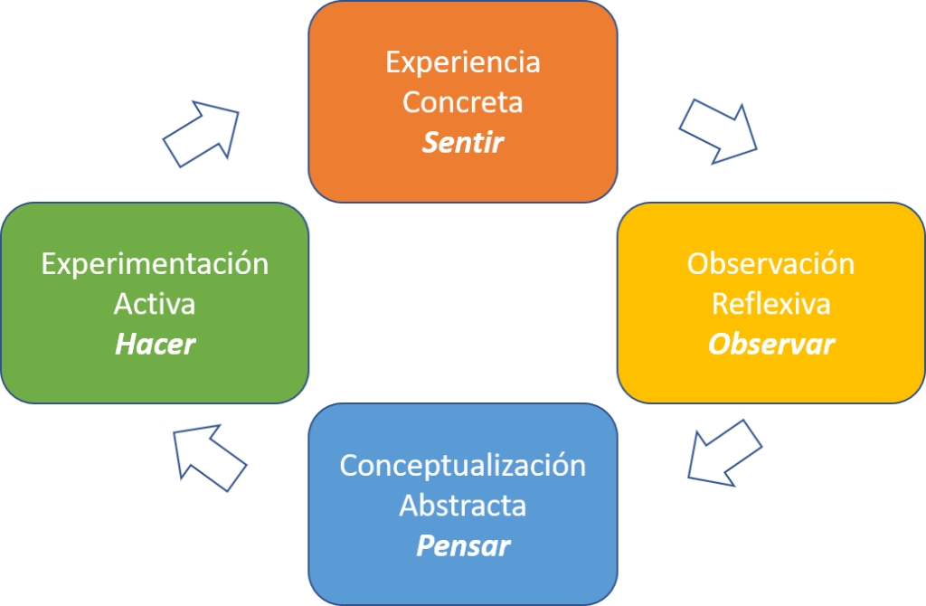 Diagrama de las 4 etapas del aprendizaje.
Sentir, Observar, Pensar y Hacer. Organizadas de forma circular cada una apuntando a la siguiente en el sentido de las agujas del reloj.